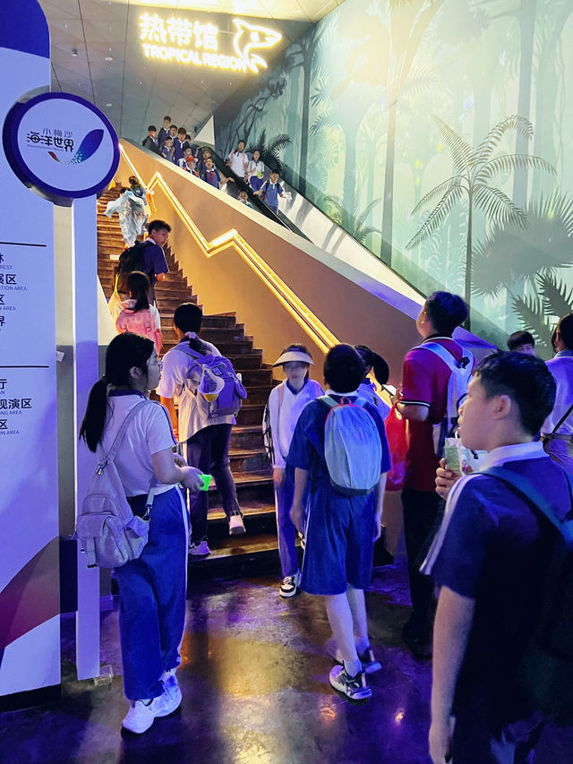 小梅沙海洋世界遊覽體驗：交通不便、設施不足，性價比偏低 