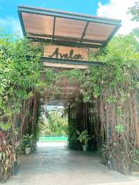 Avalon คาเฟ่สุดชิค