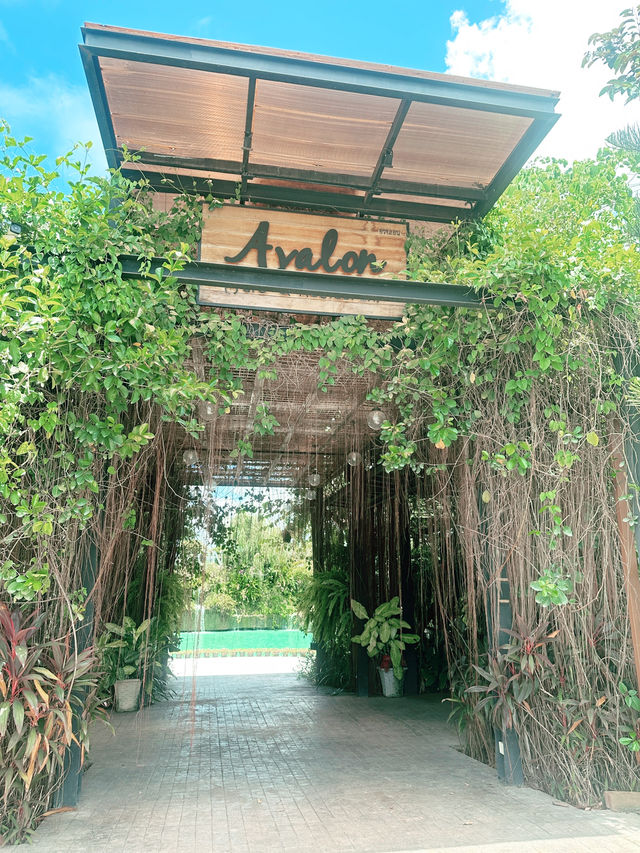 Avalon คาเฟ่สุดชิค
