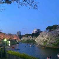 Chidori-ga-fuchi & Kitanomaru Park