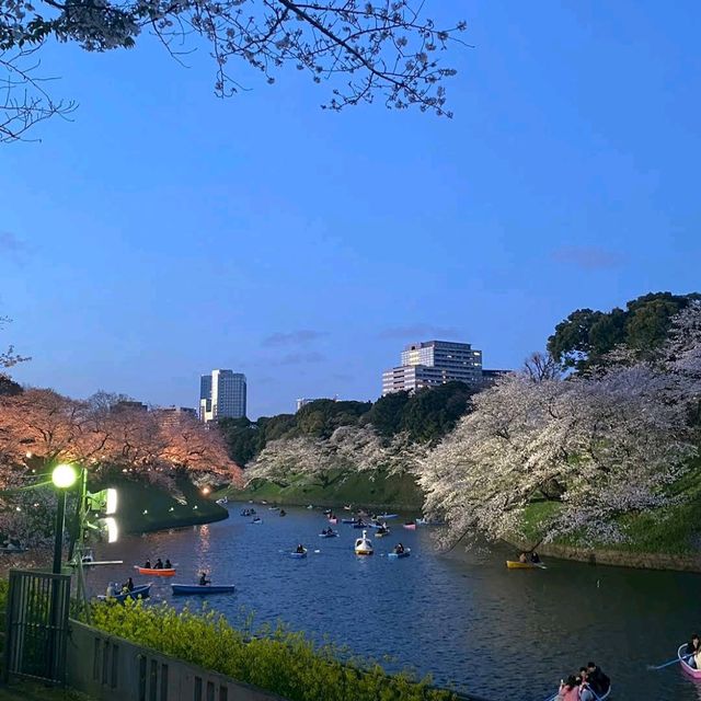 Chidori-ga-fuchi & Kitanomaru Park