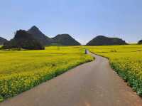 Luoping - Sea of Rapeseed Flowers in Yunnan.