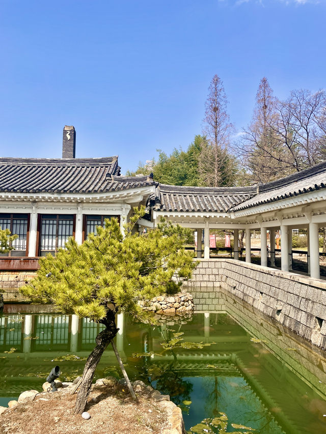 ✨경주 감성여행 코스 추천: 보문사·첨성대·동궁과 월지✨