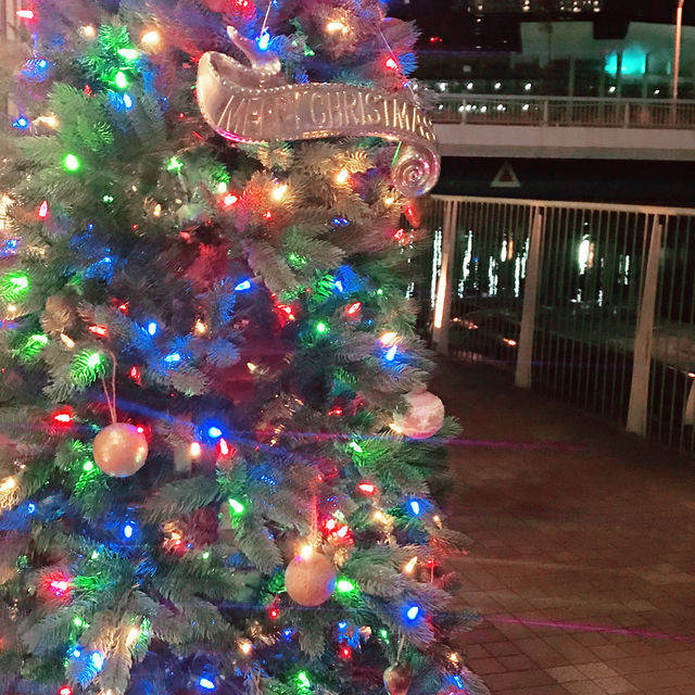 🎄✨光とショッピングが交差する横浜 — 地下街&ルミネで過ごすクリスマス&新春 🎄✨光とショッピングが交差する横浜 — 地下街&ルミネで過ごすクリスマス&新春