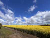 Western Australia-Albany Highway