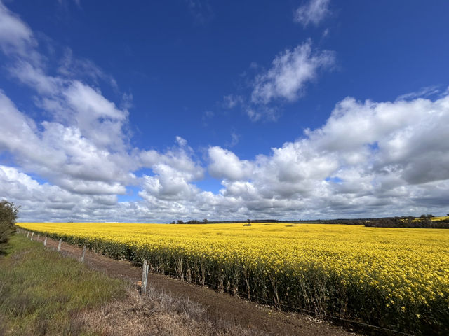 Western Australia-Albany Highway Western Australia-Albany Highway