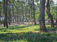 The day is nice for a stroll at Daewangam at Ulsan