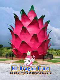My Sepang Itinerary : A Sweet Discoveries at HL Dragon Fruit Eco Farm.