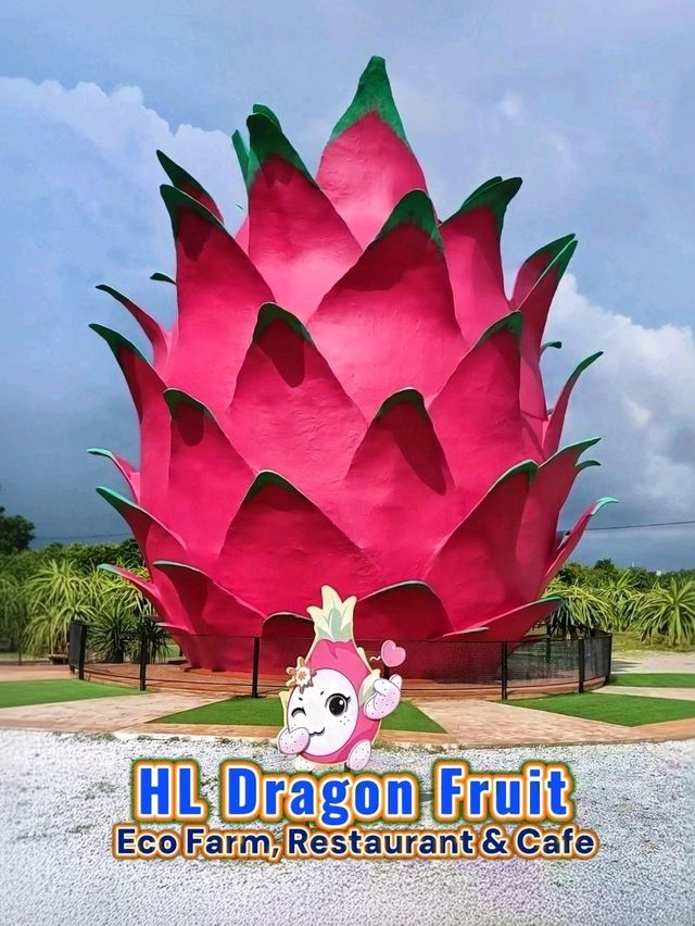 My Sepang Itinerary : A Sweet Discoveries at HL Dragon Fruit Eco Farm.