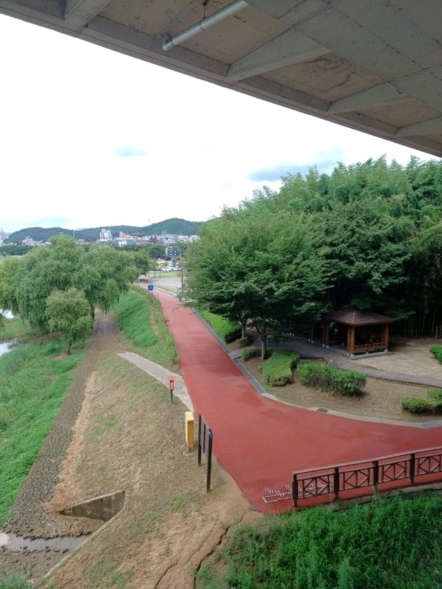 자연과 여유가 흐르는 태화강 🌊🌿