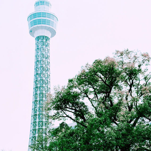 📸✨春の山下公園で横浜マリンタワーと桜、ホテルニューグランドと桜を一緒に撮影できる場所とコツ