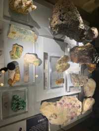 Yunnan Provincial Museum: Where Civilizations Converge