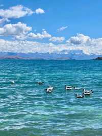 High Altitude, Higher Beauty: Namtso Awaits