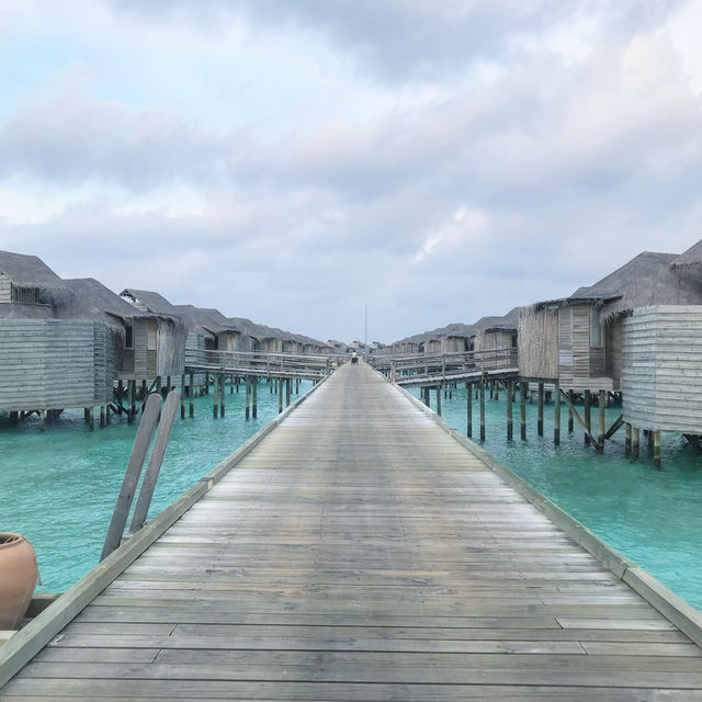 🏝️ Six Senses Maldives สวรรค์กลางทะเลสีฟ้าใส 🏝️ Six Senses Maldives สวรรค์กลางทะเลสีฟ้าใส
