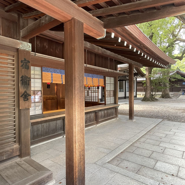 探索東京綠意：明治神宮一日遊 🌿⛩️ 