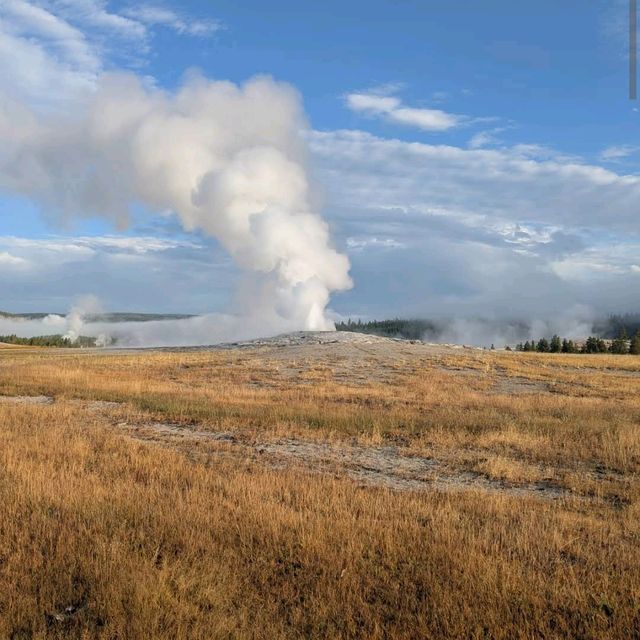 Yellowstone National Park (WY, MT, ID)