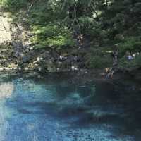 Sahalie & Koosah Falls – Oregon’s Twin Cascades on the McKenzie River