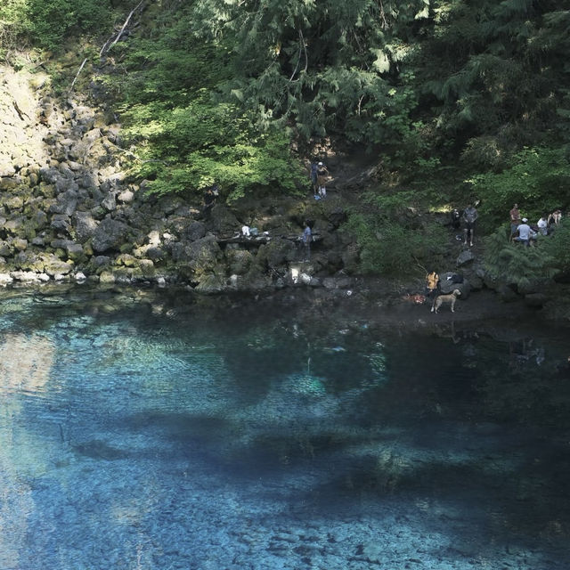 Sahalie & Koosah Falls – Oregon’s Twin Cascades on the McKenzie River