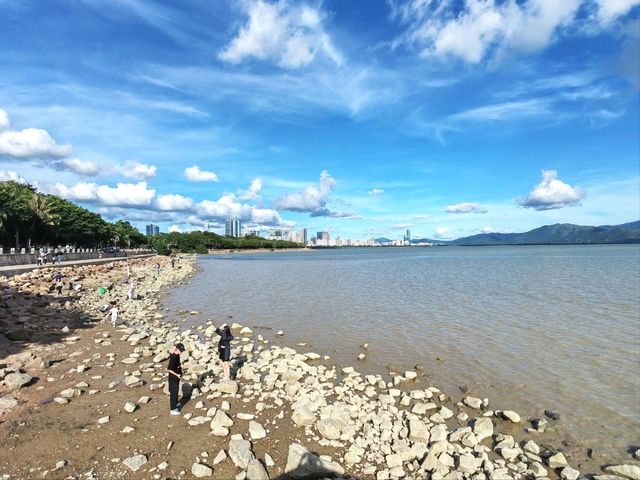 深圳｜深圳灣公園
