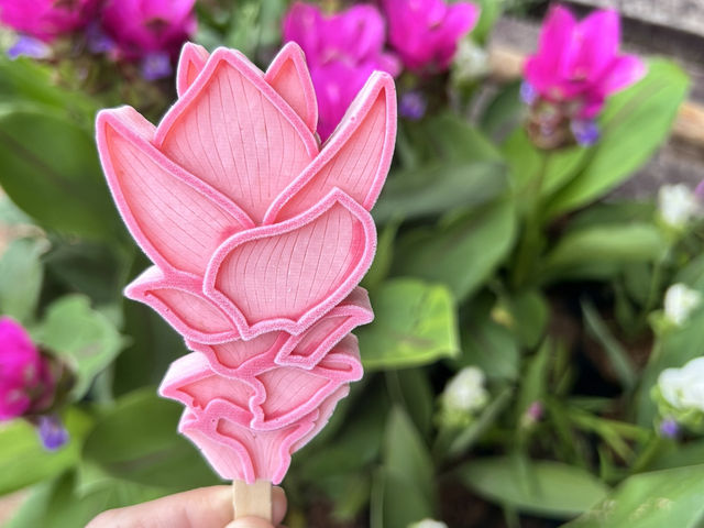 หมอกสวยๆ ที่ป่าหินงาม