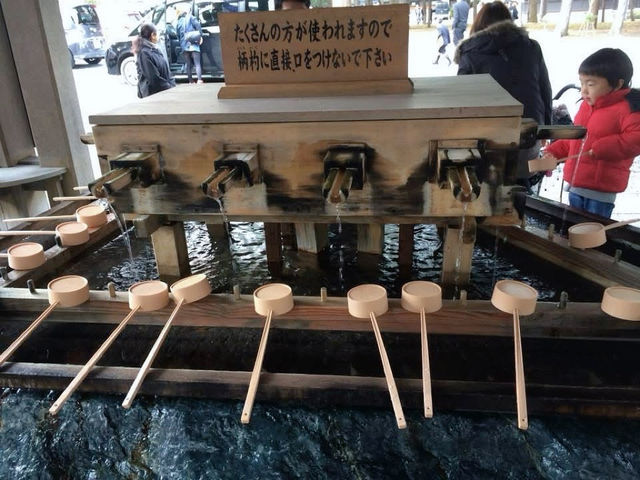 在上百年的北海道神宮體驗七五三祭