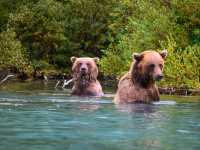 🌲 Lake Clark National Park – Wilderness, Wildlife & Scenic Beauty