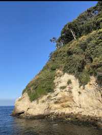 【東京湾に浮かぶ無人島🏝️猿島🐵】不思議な無人島体験レポ‼️