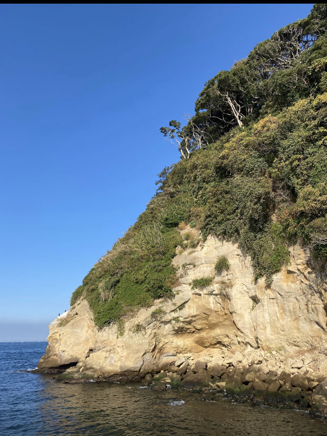 【東京湾に浮かぶ無人島🏝️猿島🐵】不思議な無人島体験レポ‼️
