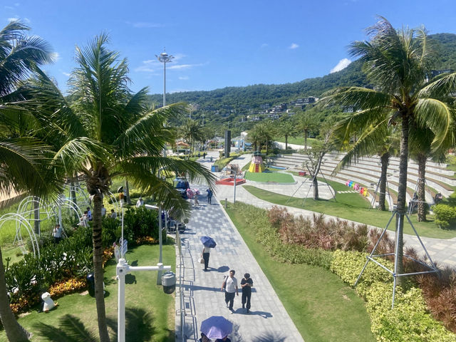 🌴椰樹下吹海風靚影打卡✨ 享受強風前夕的明媚陽光與溫柔的海浪🌊