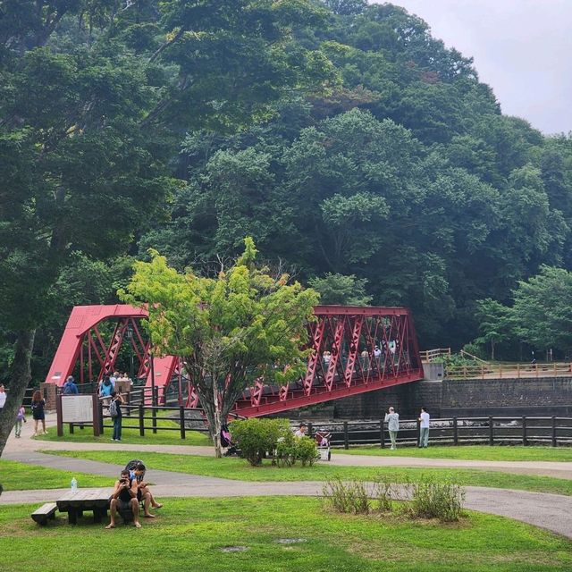 The Christmas-Colored Wonder of Yamasen Bridge in Chitose 🎁🌊 The Christmas-Colored Wonder of Yamasen Bridge in Chitose 🎁🌊