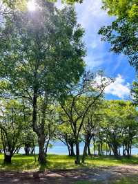【栃木日光】菖蒲ヶ浜キャンプ村🏕️