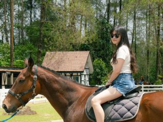 ‘Little England’ ขับรถเพียง 2 ชั่วโมงจาก KL! 🌲