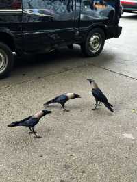  มนต์เสน่ห์แห่งมุมไบ มุมถ่ายรูปสวยจนลืมไม่ลง