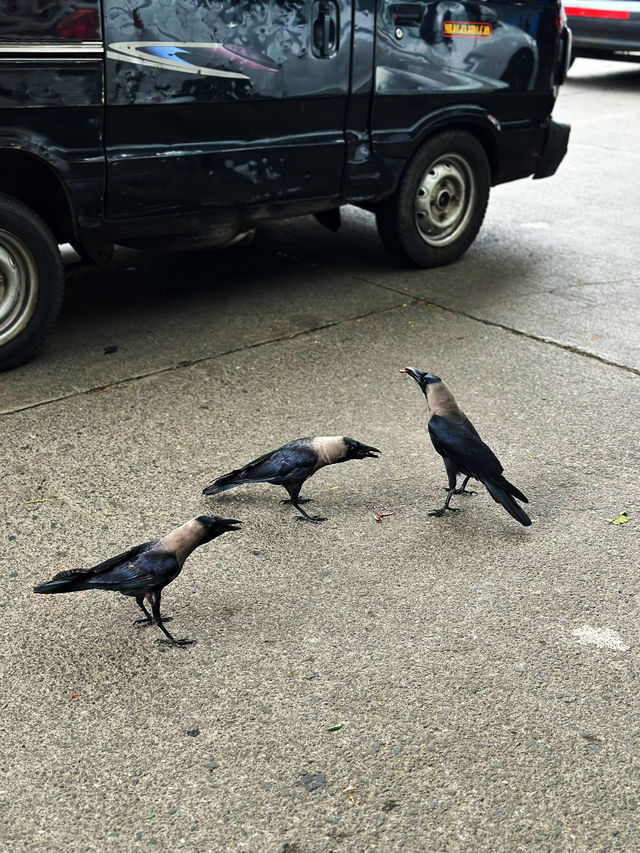  มนต์เสน่ห์แห่งมุมไบ มุมถ่ายรูปสวยจนลืมไม่ลง