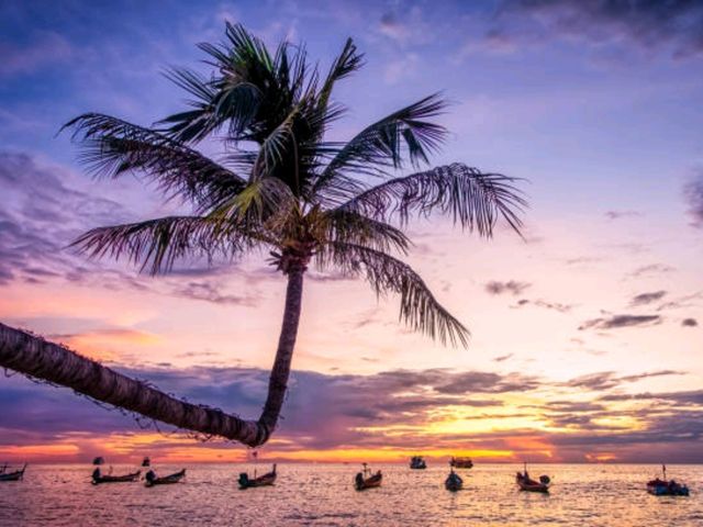 꼬따오(Koh Tao) – 다이버들의 천국