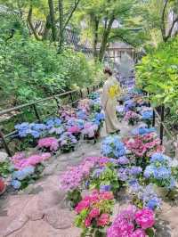 Flower Temple Magic🌸