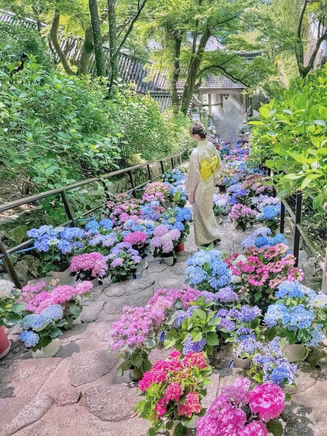 Flower Temple Magic🌸