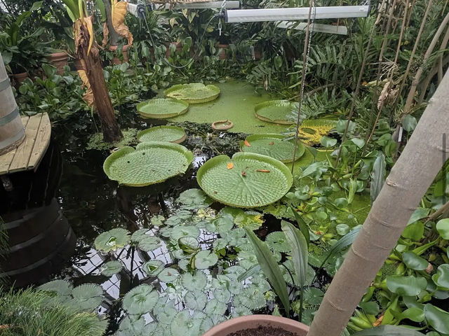 Botanical Garden
