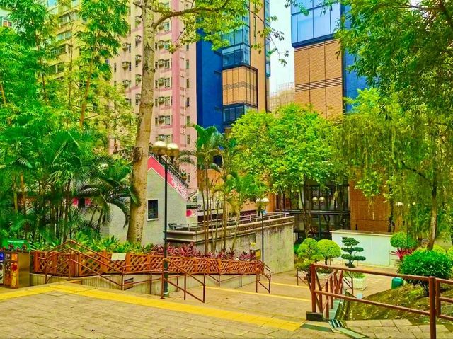 Lin Fa Temple, Tai Hang – A Lotus of Serenity in the City Lin Fa Temple, Tai Hang – A Lotus of Serenity in the City