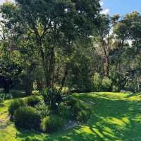 Caves House Hotel