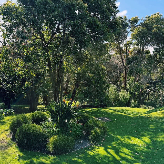 Caves House Hotel