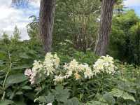 Royal Botanic Garden Edinburgh