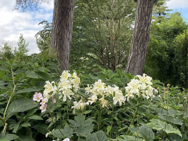 Royal Botanic Garden Edinburgh