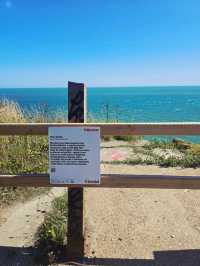 🌊 Seaside Calm and Coastal Charm - A Trip to Folkestone