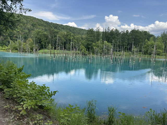 北海道—青池