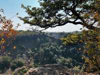 Where Thunder and Mist Create Nature’s Grand Spectacle
