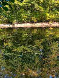๐ฐ๏ธ๐บ๐ธ Minute Man National Historical Park โ Walk in the Footsteps of Revolution