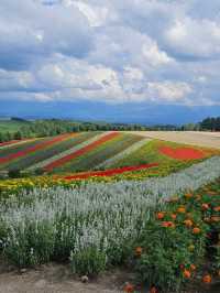 삿포로 5박6일 여행 포토 스팟