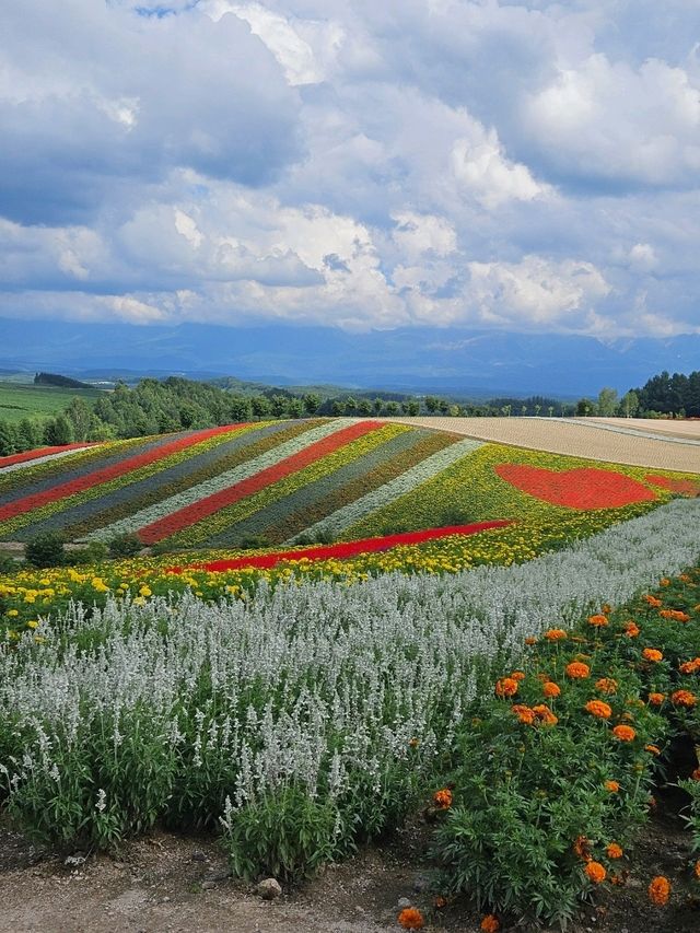 삿포로 5박6일 여행 포토 스팟