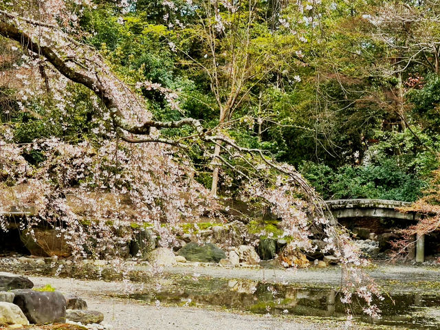 Your Solo Stroll Through Imperial Spring 